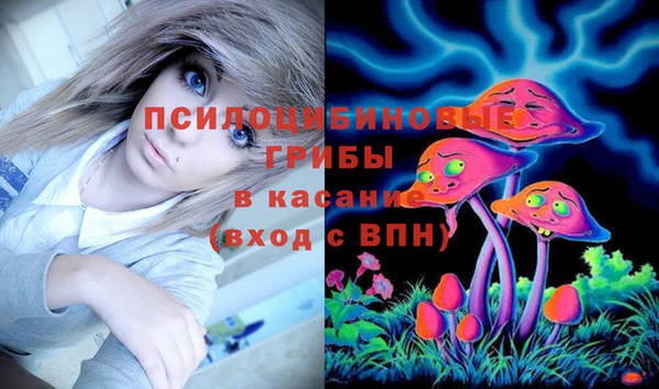 стафф Пестово