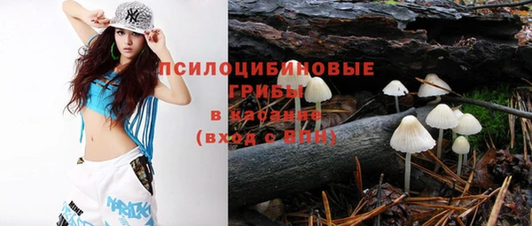 стафф Пестово