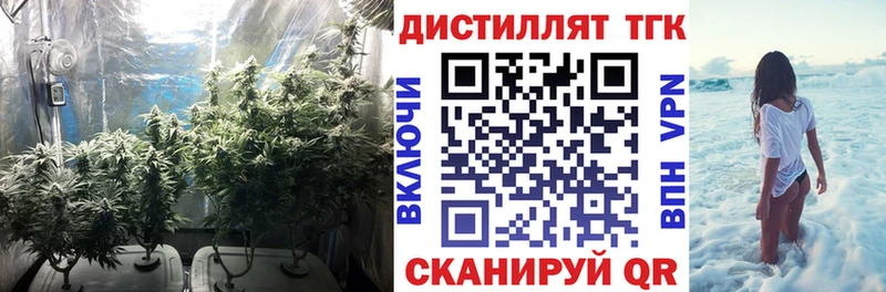 как найти закладки  Первомайск  Дистиллят ТГК жижа 