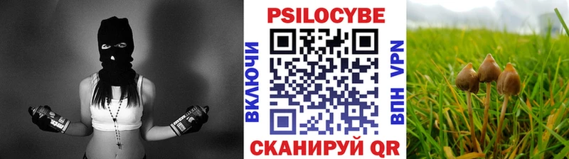 что такое   Первомайск  Псилоцибиновые грибы Psilocybine cubensis 